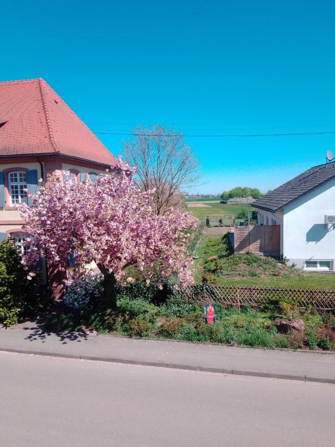 Gaestehaus Brunhilde Wittenweier Exteriér fotografie